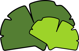 Gingko Lab logo